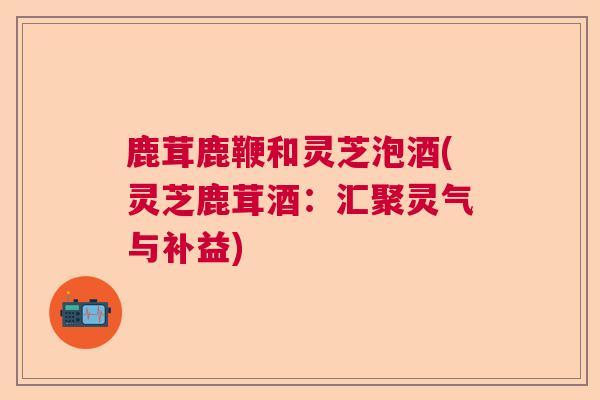 鹿茸鹿鞭和灵芝泡酒(灵芝鹿茸酒：汇聚灵气与补益)