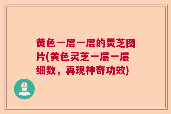 黄色一层一层的灵芝图片(黄色灵芝一层一层细数，再现神奇功效)