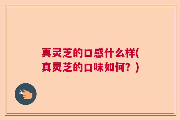 真灵芝的口感什么样(真灵芝的口味如何？)
