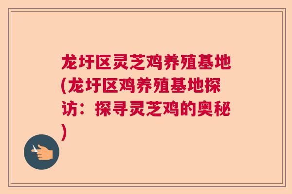 龙圩区灵芝鸡养殖基地(龙圩区鸡养殖基地探访：探寻灵芝鸡的奥秘)