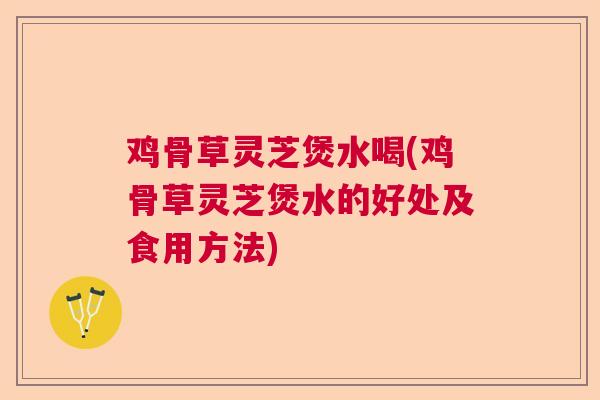 鸡骨草灵芝煲水喝(鸡骨草灵芝煲水的好处及食用方法)