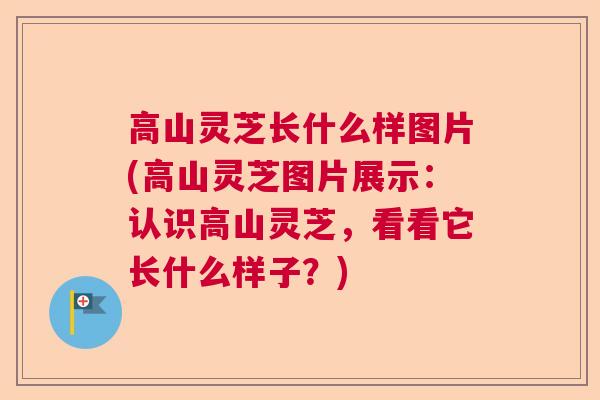 高山灵芝长什么样图片(高山灵芝图片展示：认识高山灵芝，看看它长什么样子？)