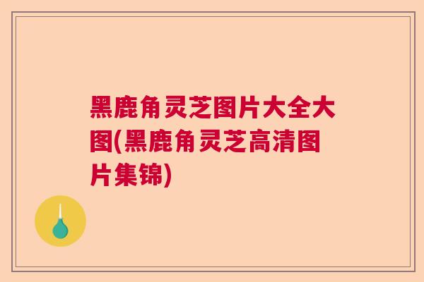 黑鹿角灵芝图片大全大图(黑鹿角灵芝高清图片集锦)