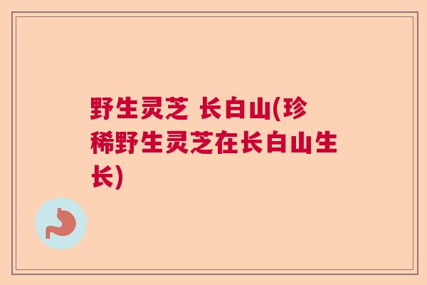 野生灵芝 长白山(珍稀野生灵芝在长白山生长) 野生灵芝 长白山(珍稀野生灵芝在长白山生长)