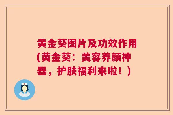 黄金葵图片及功效作用(黄金葵:美容养颜神器,护肤福利来啦!) 黄金葵图片及功效作用(黄金葵:美容养颜神器,护肤福利来啦!)