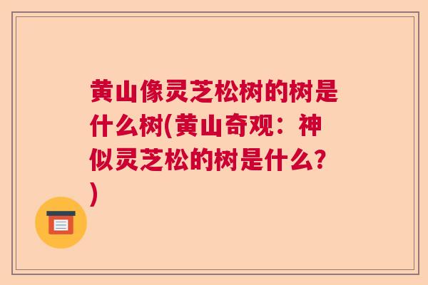 黄山像灵芝松树的树是什么树(黄山奇观：神似灵芝松的树是什么？)