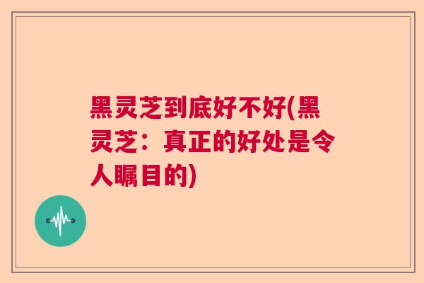 黑灵芝到底好不好(黑灵芝：真正的好处是令人瞩目的)