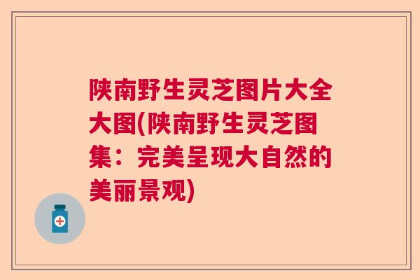 陕南野生灵芝图片大全大图(陕南野生灵芝图集：完美呈现大自然的美丽景观)