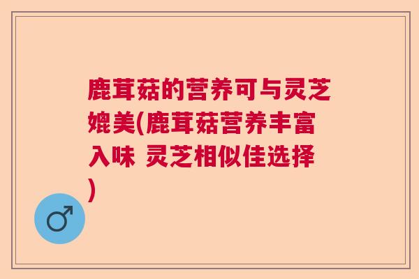 鹿茸菇的营养可与灵芝媲美(鹿茸菇营养丰富入味 灵芝相似佳选择)