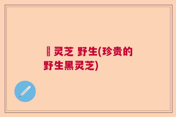 黒灵芝 野生(珍贵的野生黑灵芝)