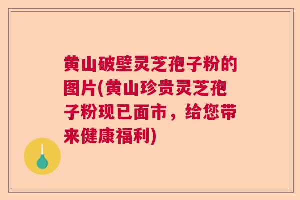 黄山破壁灵芝孢子粉的图片(黄山珍贵灵芝孢子粉现已面市，给您带来健康福利)