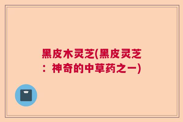 黑皮木灵芝(黑皮灵芝：神奇的中草药之一)