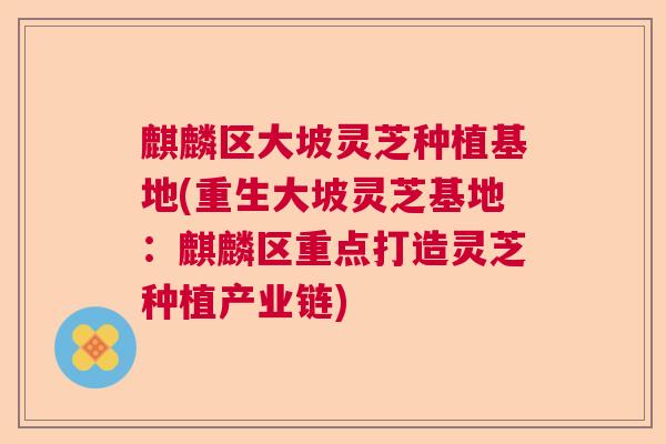 麒麟区大坡灵芝种植基地(重生大坡灵芝基地：麒麟区重点打造灵芝种植产业链)