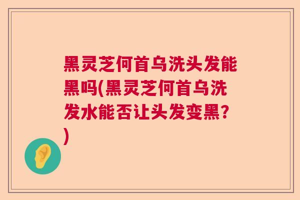 黑灵芝何首乌洗头发能黑吗(黑灵芝何首乌洗发水能否让头发变黑?) 黑灵芝何首乌洗头发能黑吗(黑灵芝何首乌洗发水能否让头发变黑?)