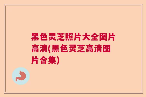 黑色灵芝照片大全图片高清(黑色灵芝高清图片合集) 黑色灵芝照片大全图片高清(黑色灵芝高清图片合集)