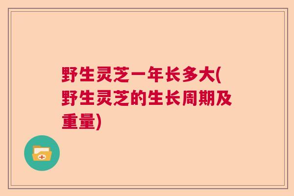 野生灵芝一年长多大(野生灵芝的生长周期及重量)