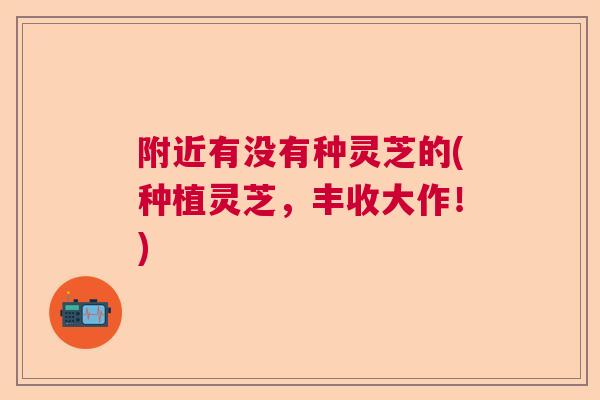 附近有没有种灵芝的(种植灵芝，丰收大作！)