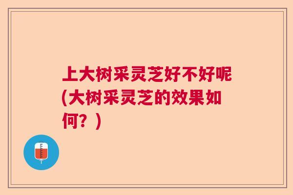 上大树采灵芝好不好呢(大树采灵芝的效果如何?) 上大树采灵芝好不好呢(大树采灵芝的效果如何?)