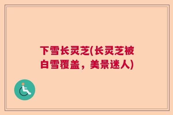 下雪长灵芝(长灵芝被白雪覆盖,美景迷人)