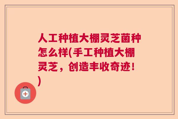 人工种植大棚灵芝菌种怎么样(手工种植大棚灵芝，创造丰收奇迹！)