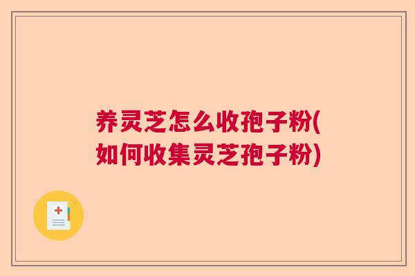 养灵芝怎么收孢子粉(如何收集灵芝孢子粉)