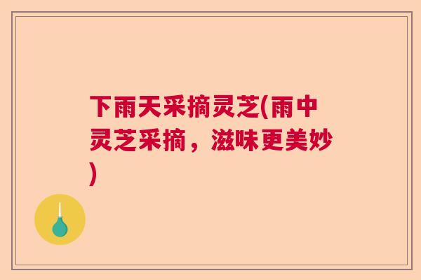 下雨天采摘灵芝(雨中灵芝采摘,滋味更美妙) 下雨天采摘灵芝(雨中灵芝采摘,滋味更美妙)