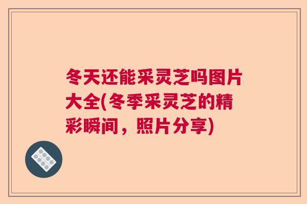 冬天还能采灵芝吗图片大全(冬季采灵芝的精彩瞬间，照片分享)