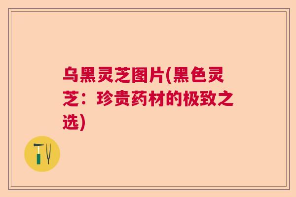 乌黑灵芝图片(黑色灵芝:珍贵药材的极致之选) 乌黑灵芝图片(黑色灵芝:珍贵药材的极致之选)