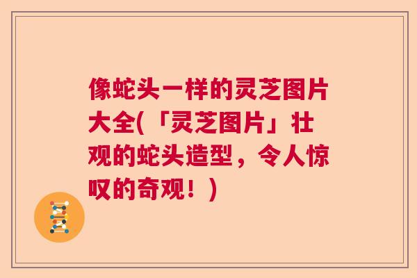 像蛇头一样的灵芝图片大全(「灵芝图片」壮观的蛇头造型，令人惊叹的奇观！)