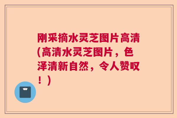 刚采摘水灵芝图片高清(高清水灵芝图片,色泽清新自然,令人赞叹!) 刚采摘水灵芝图片高清(高清水灵芝图片,色泽清新自然,令人赞叹!)