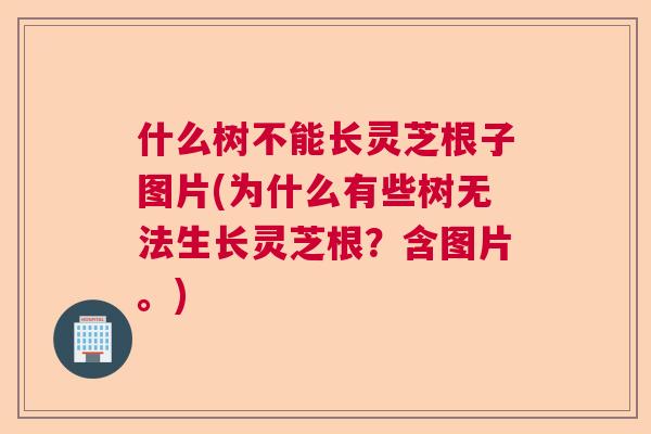 什么树不能长灵芝根子图片(为什么有些树无法生长灵芝根?含图片。) 什么树不能长灵芝根子图片(为什么有些树无法生长灵芝根?含图片。)