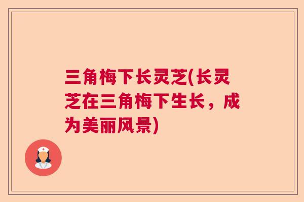 三角梅下长灵芝(长灵芝在三角梅下生长,成为美丽风景) 三角梅下长灵芝(长灵芝在三角梅下生长,成为美丽风景)