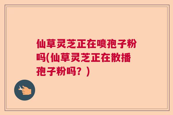 仙草灵芝正在喷孢子粉吗(仙草灵芝正在散播孢子粉吗？)