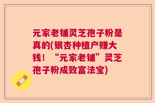 元家老铺灵芝孢子粉是真的(银杏种植户赚大钱!“元家老铺”灵芝孢子粉成致富法宝) 元家老铺灵芝孢子粉是真的(银杏种植户赚大钱!“元家老铺”灵芝孢子粉成致富法宝)