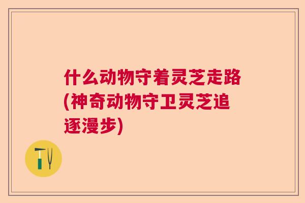 什么动物守着灵芝走路(神奇动物守卫灵芝追逐漫步) 什么动物守着灵芝走路(神奇动物守卫灵芝追逐漫步)