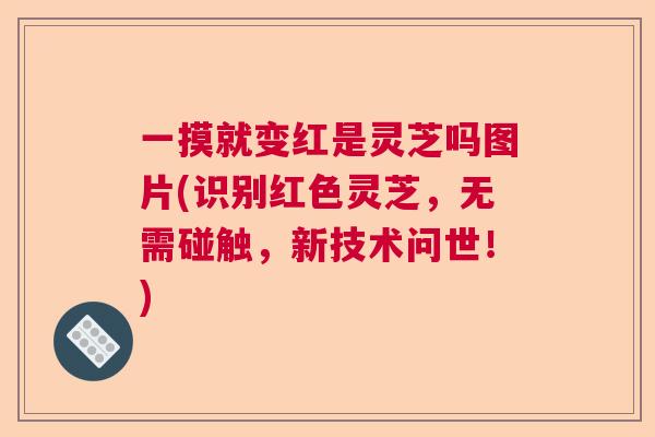 一摸就变红是灵芝吗图片(识别红色灵芝,无需碰触,新技术问世!) 一摸就变红是灵芝吗图片(识别红色灵芝,无需碰触,新技术问世!)