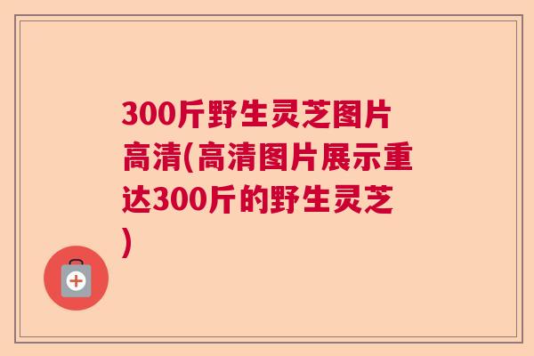 300斤野生灵芝图片高清(高清图片展示重达300斤的野生灵芝)