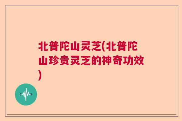 北普陀山灵芝(北普陀山珍贵灵芝的神奇功效) 北普陀山灵芝(北普陀山珍贵灵芝的神奇功效)