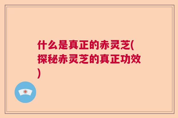 什么是真正的赤灵芝(探秘赤灵芝的真正功效) 什么是真正的赤灵芝(探秘赤灵芝的真正功效)