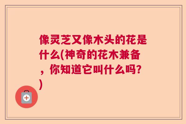 像灵芝又像木头的花是什么(神奇的花木兼备，你知道它叫什么吗？)