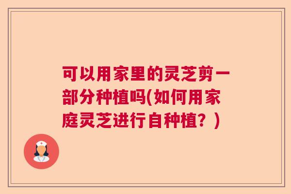 可以用家里的灵芝剪一部分种植吗(如何用家庭灵芝进行自种植？)