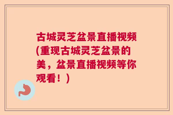 古城灵芝盆景直播视频(重现古城灵芝盆景的美，盆景直播视频等你观看！)