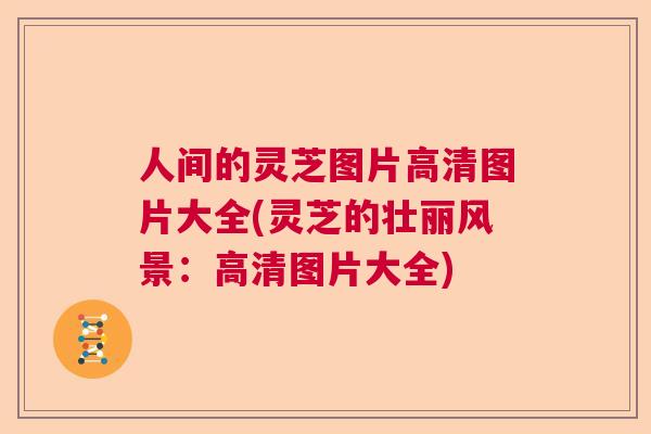 人间的灵芝图片高清图片大全(灵芝的壮丽风景:高清图片大全) 人间的灵芝图片高清图片大全(灵芝的壮丽风景:高清图片大全)