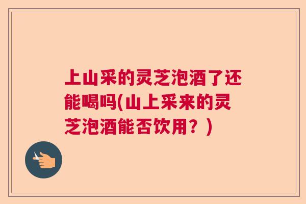 上山采的灵芝泡酒了还能喝吗(山上采来的灵芝泡酒能否饮用？)