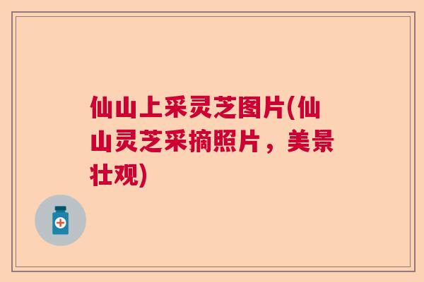 仙山上采灵芝图片(仙山灵芝采摘照片，美景壮观)