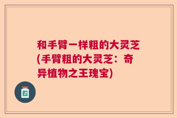 和手臂一样粗的大灵芝(手臂粗的大灵芝：奇异植物之王瑰宝)