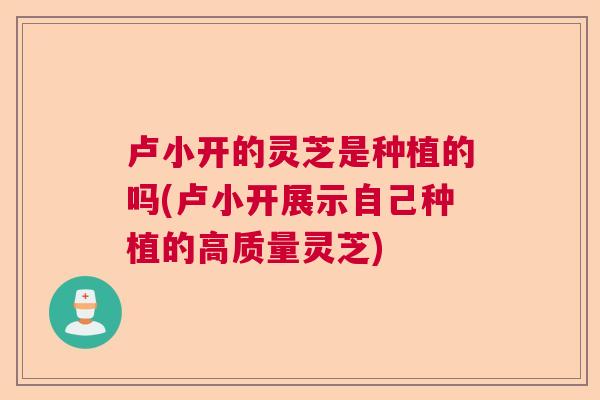卢小开的灵芝是种植的吗(卢小开展示自己种植的高质量灵芝)