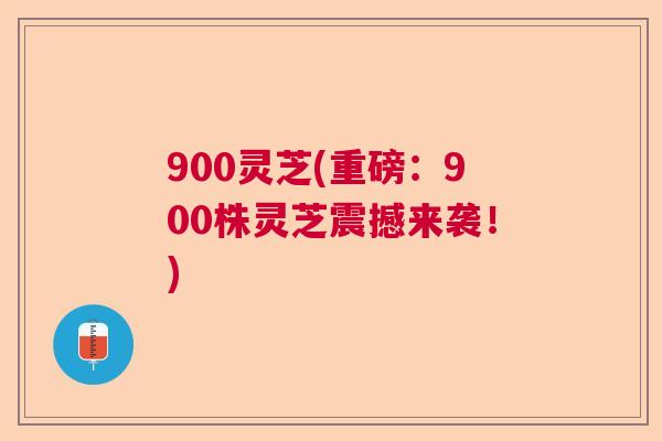 900灵芝(重磅：900株灵芝震撼来袭！)