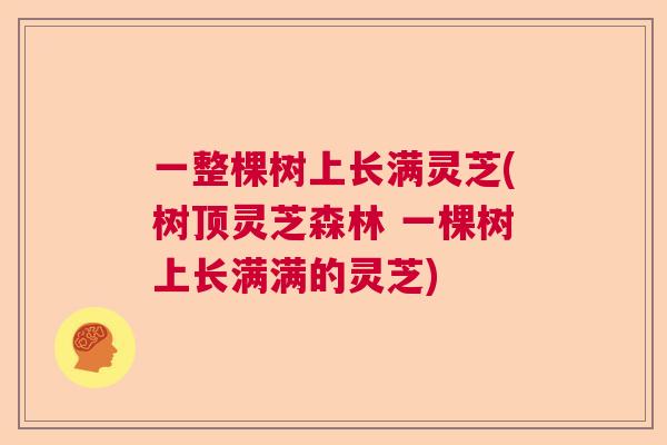 一整棵树上长满灵芝(树顶灵芝森林 一棵树上长满满的灵芝)