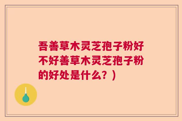 吾善草木灵芝孢子粉好不好善草木灵芝孢子粉的好处是什么？)